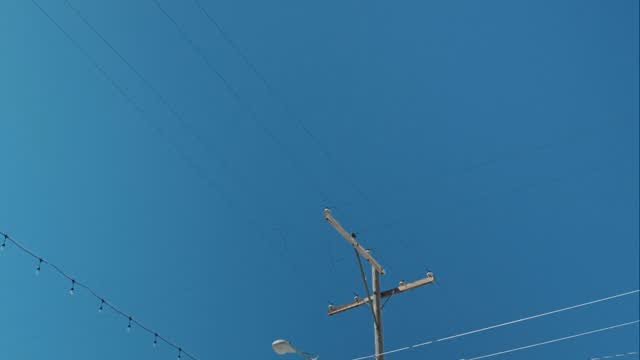 Slide 12