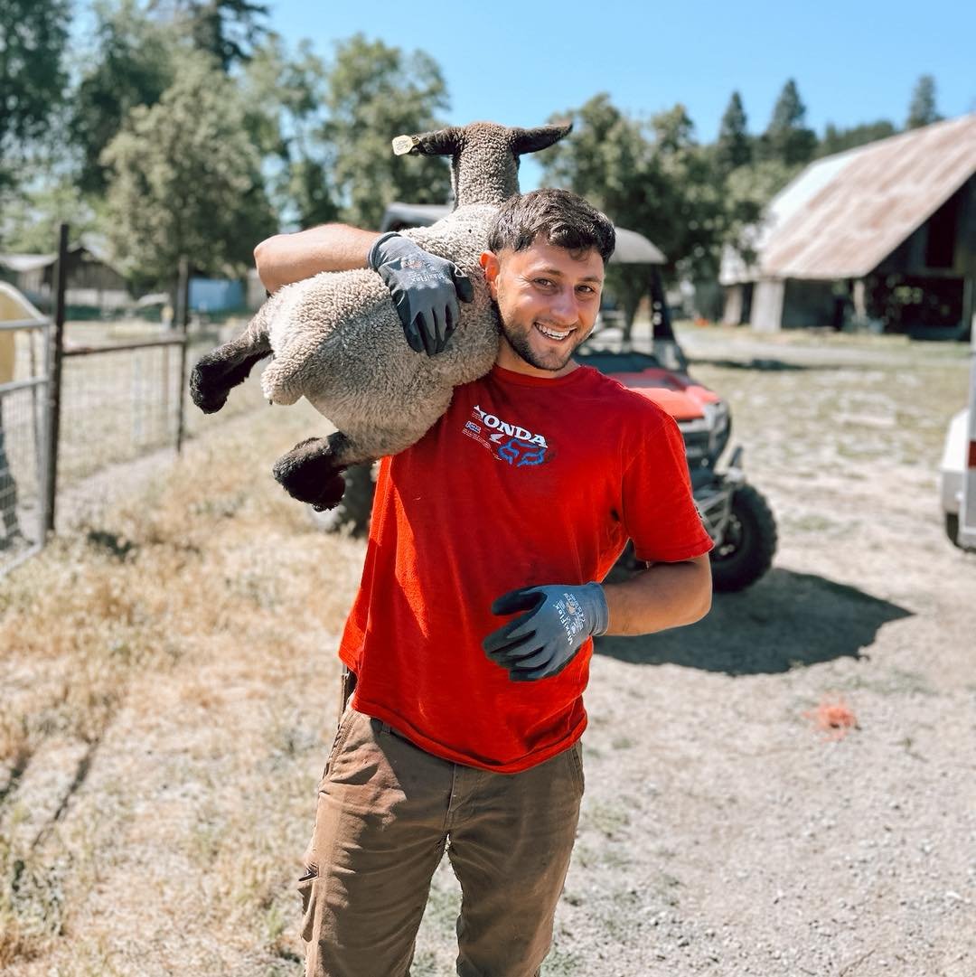 Isn&rsquo;t this how everyone moves their sheep??? 😆

#farmfriday!  #liferestoration #workingranch #nonprofit #RocksideRanch