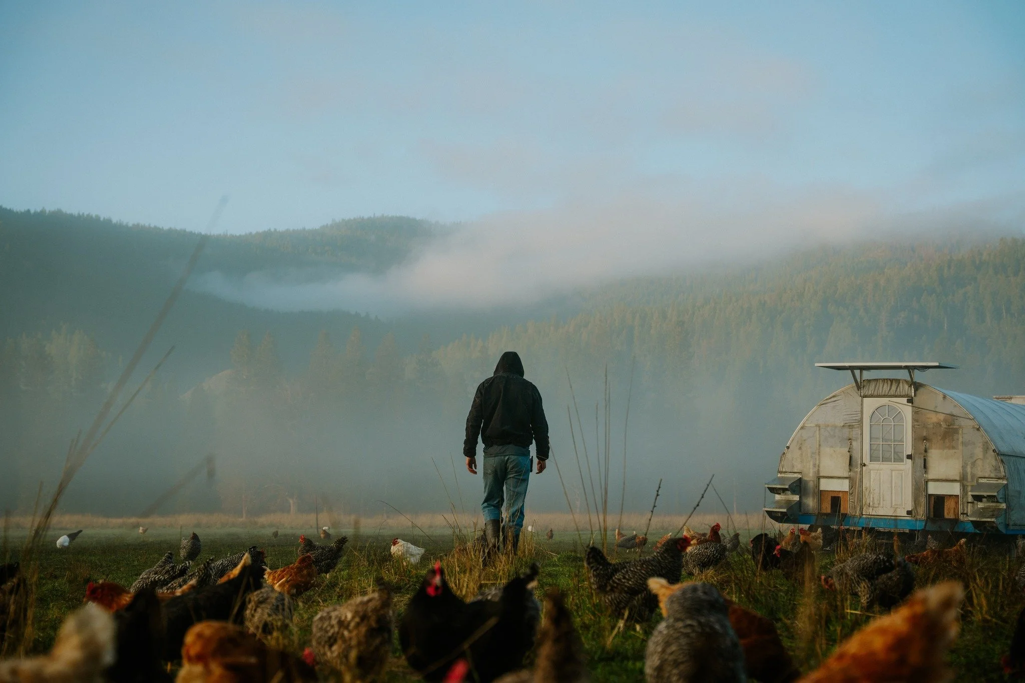 Morning light and beautiful views are waiting each day for Rockside students. Join us this Giving Tuesday (December 2!) and give to Student Scholarships so that when a young man is ready to say yes to life restoration, we can say yes too.