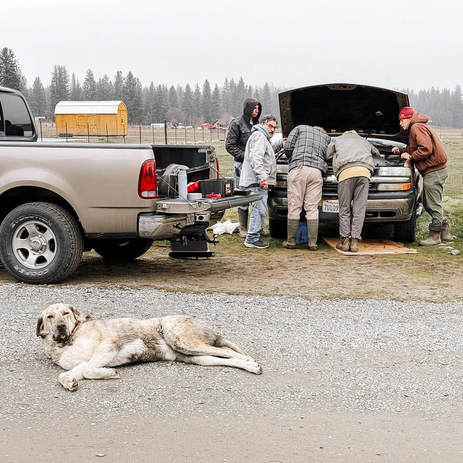 More than just fixing a truck. 🔧🚙

Out here, it&rsquo;s about teamwork, problem-solving, and learning to stick with something until the job&rsquo;s done. Every bolt turned is building perseverance and confidence that carries far beyond the ranch. ?