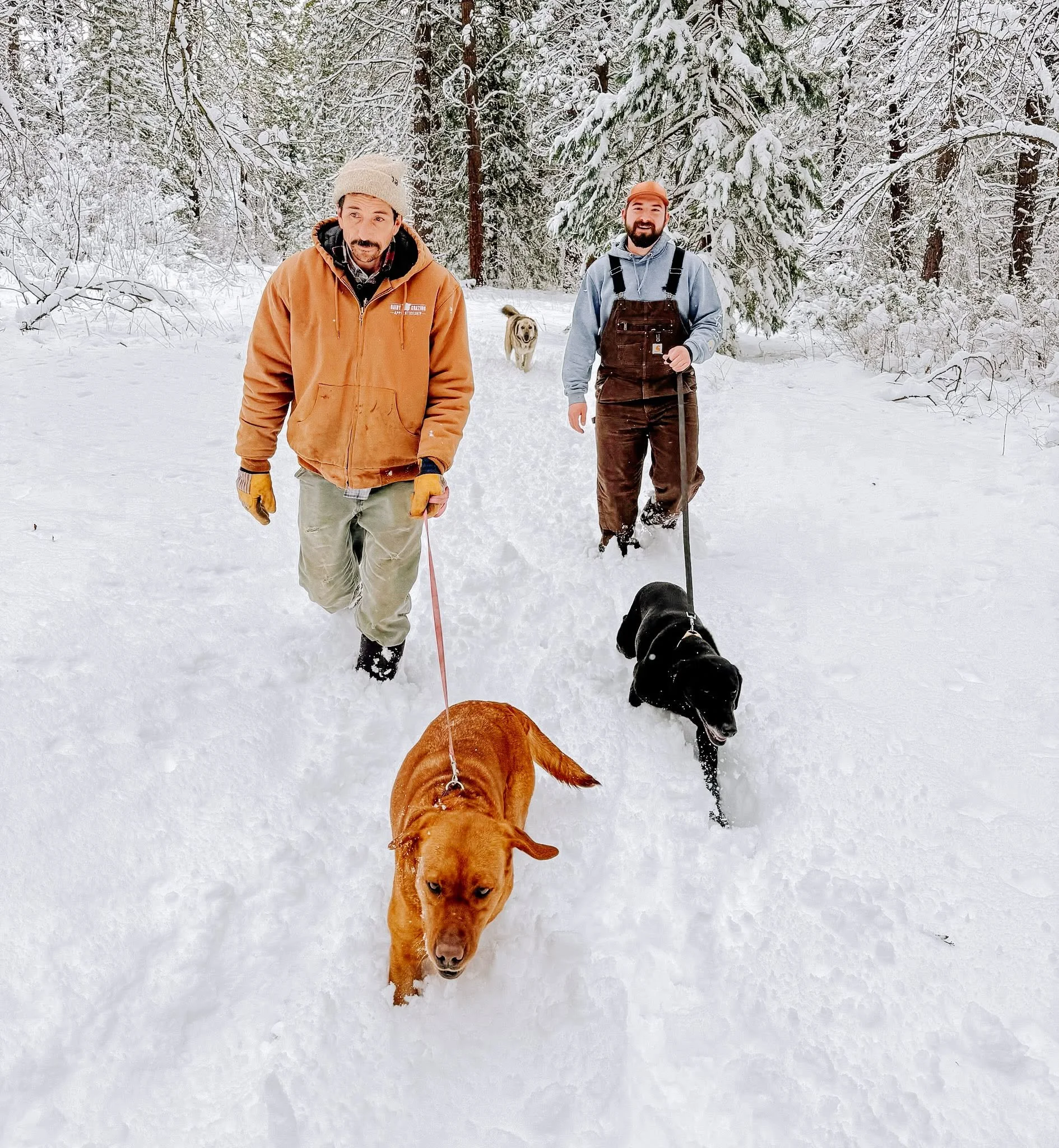Nothing like a fresh layer of snow to turn dog‑walking into an adventure. ❄️🐕

#RocksideRanch #NonProfit #OutdoorDays #RanchLife