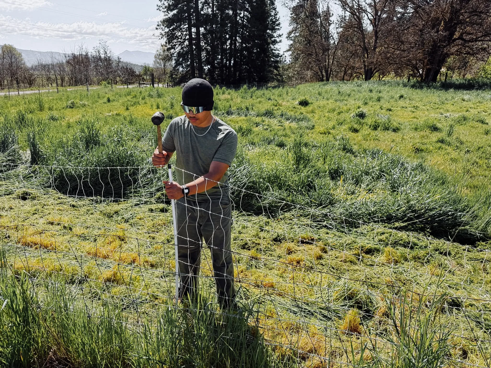 Getting fences ready so the goats and sheep can enjoy fresh pasture. 🐐🌿

Work like this keeps the ranch running and the animals thriving. 👏🏼

#liferestoration #workingranch #RocksideRanch