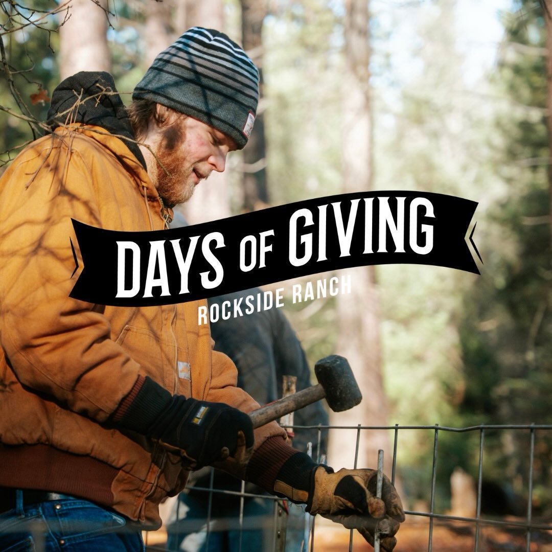 Life restoration is made possible through the generosity of so many of you. This year, Rockside Ranch will give out over $400,000 in scholarships to students that would not otherwise have an opportunity to come to the ranch. 
💛💛💛
And this week on 