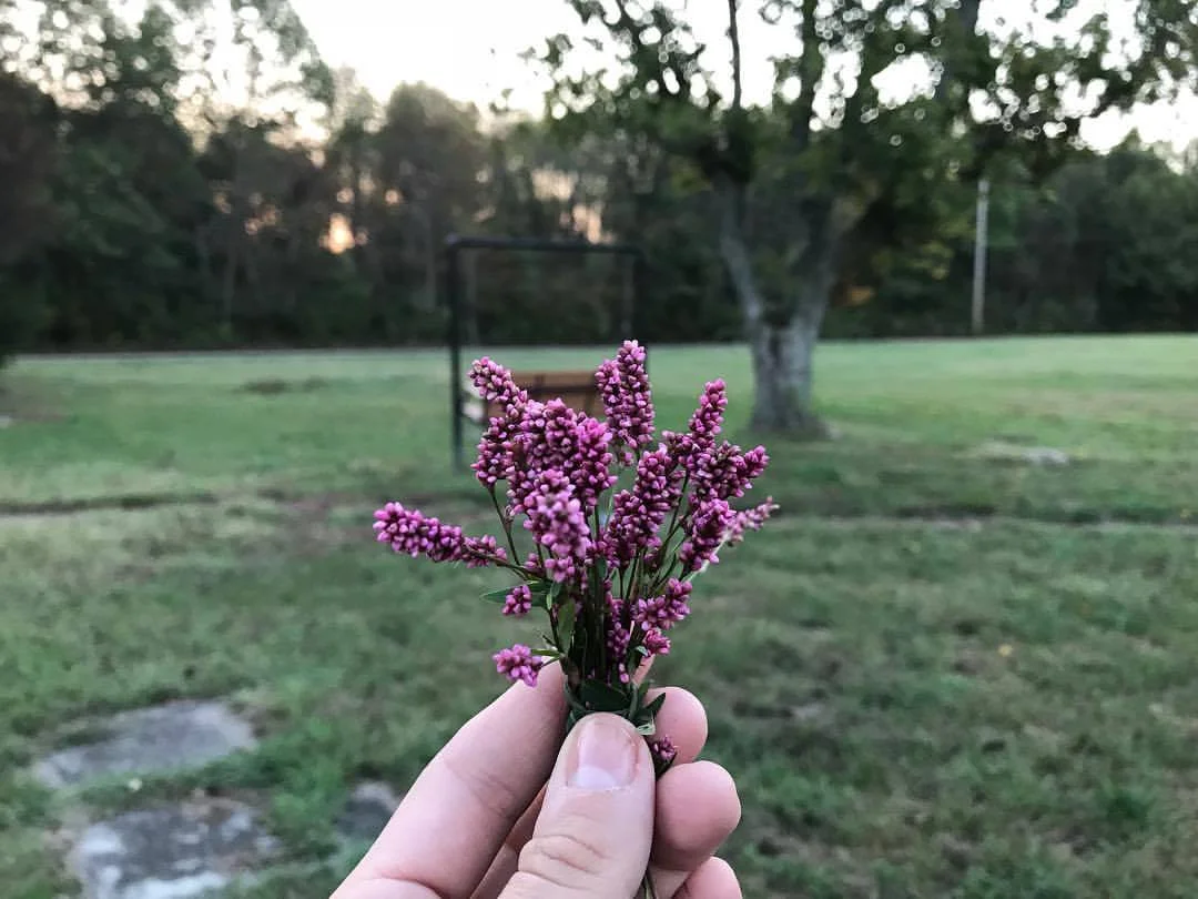 Grandpa Died: "The Funnest Day Ever"
