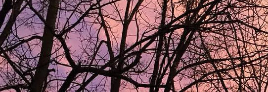 Alpha Dog Takes the Infusion Clinic