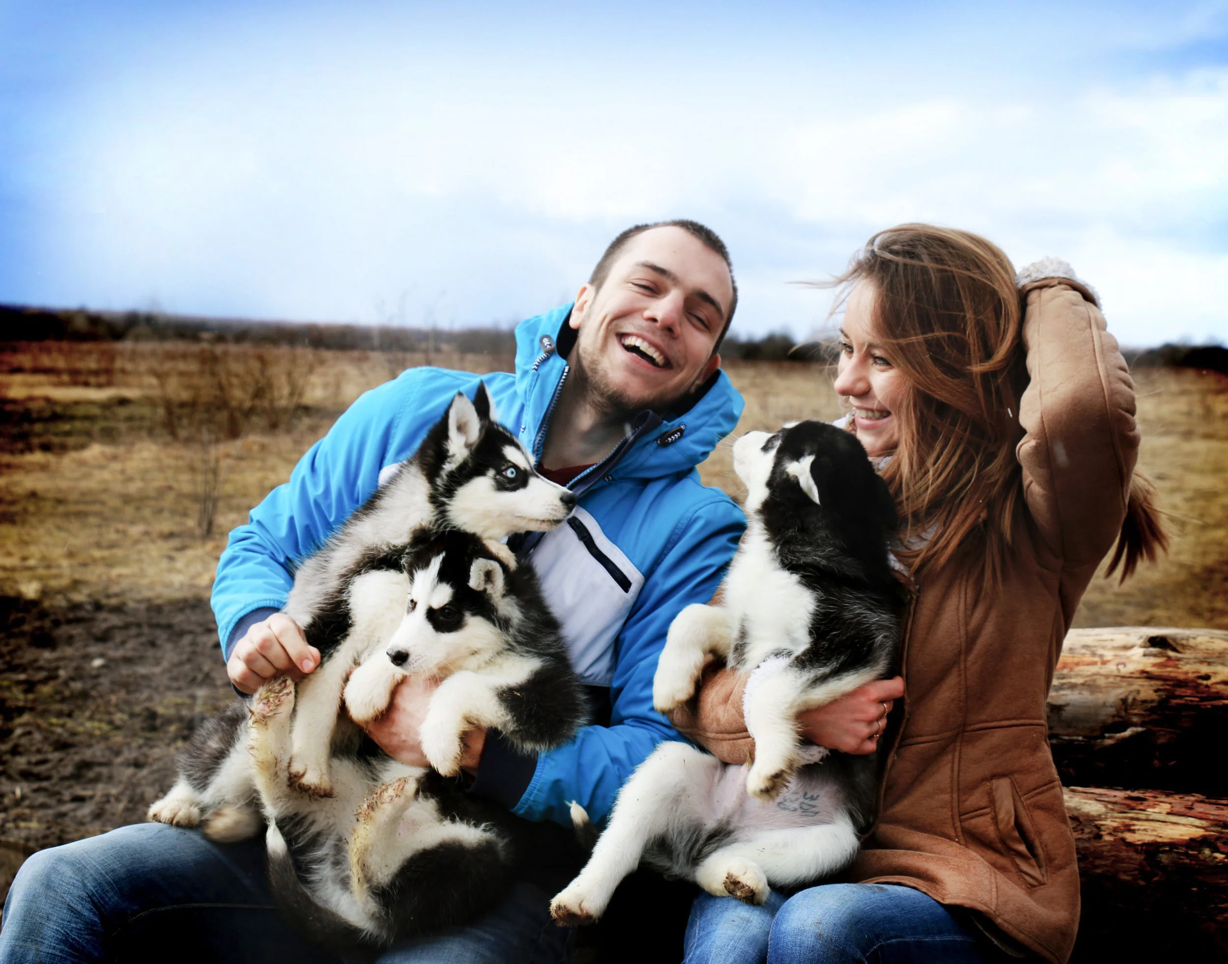 Love Story with husky