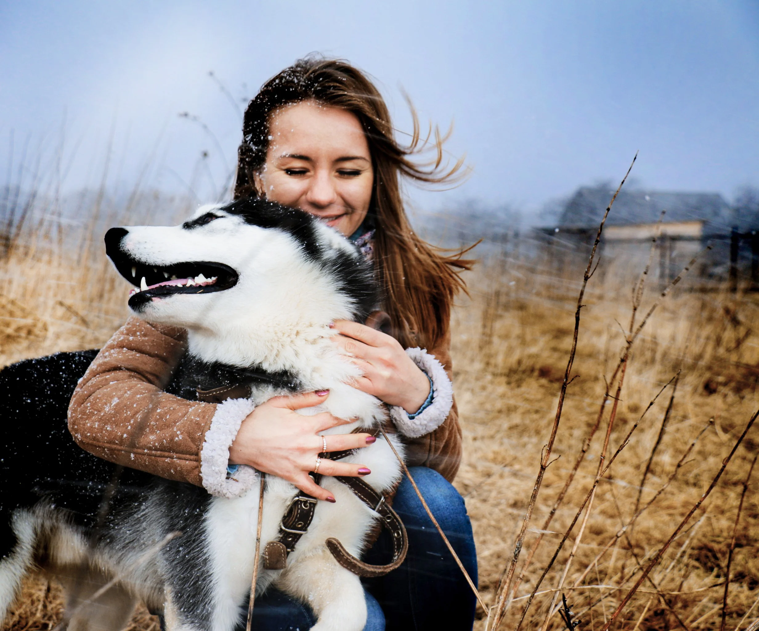 Love Story with husky