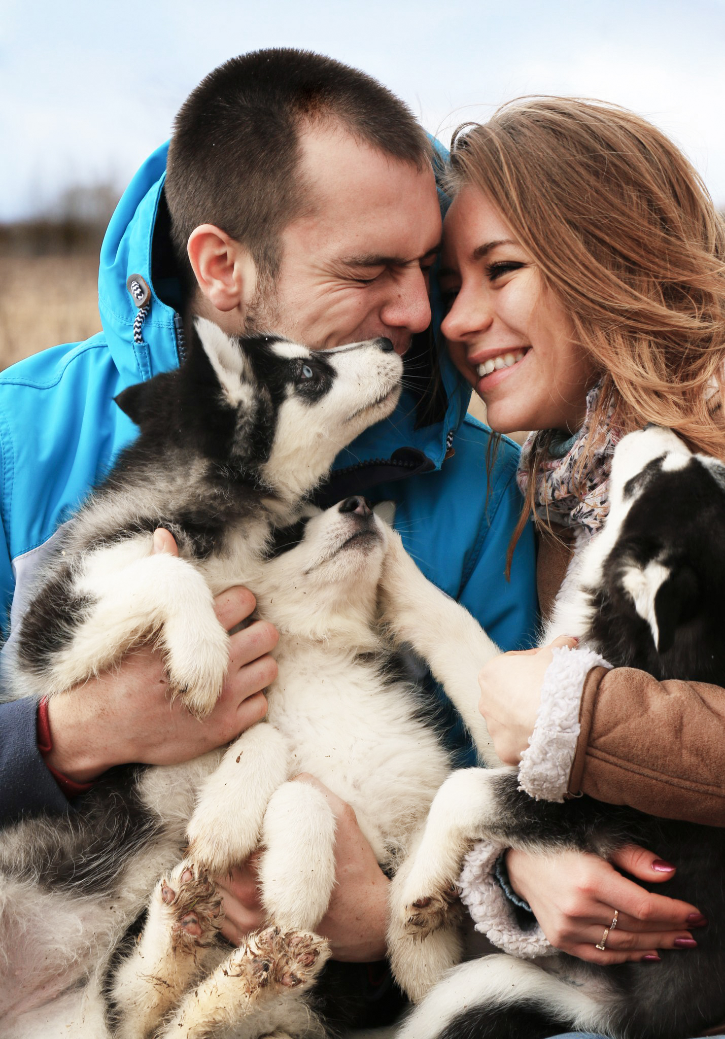 Love Story with husky