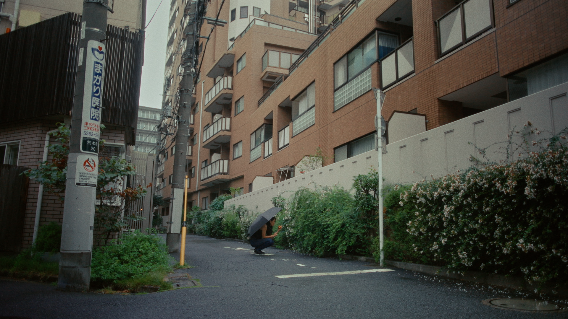 PEACH_CC_251210_422HQ_4K.mov.01_04_48_08.Still009.png