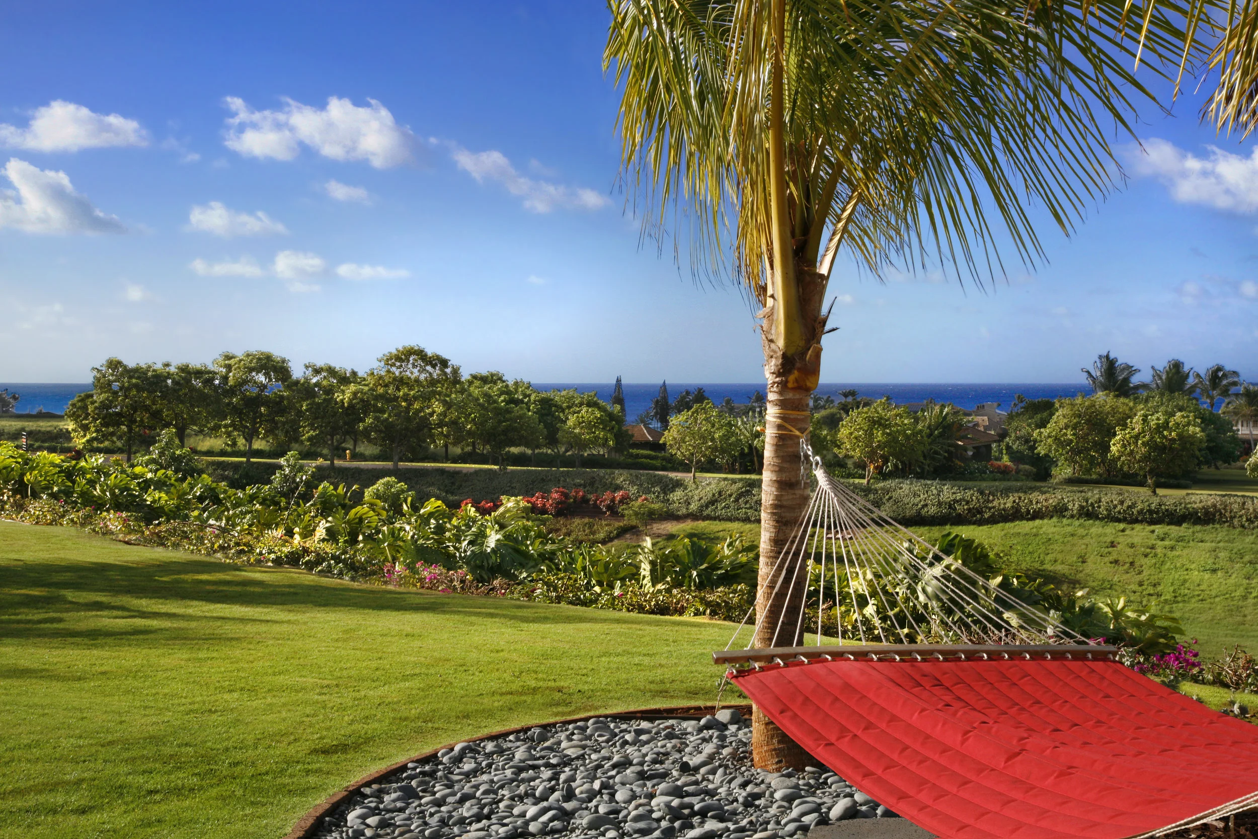 kainani_hale18_hammock_view.jpg
