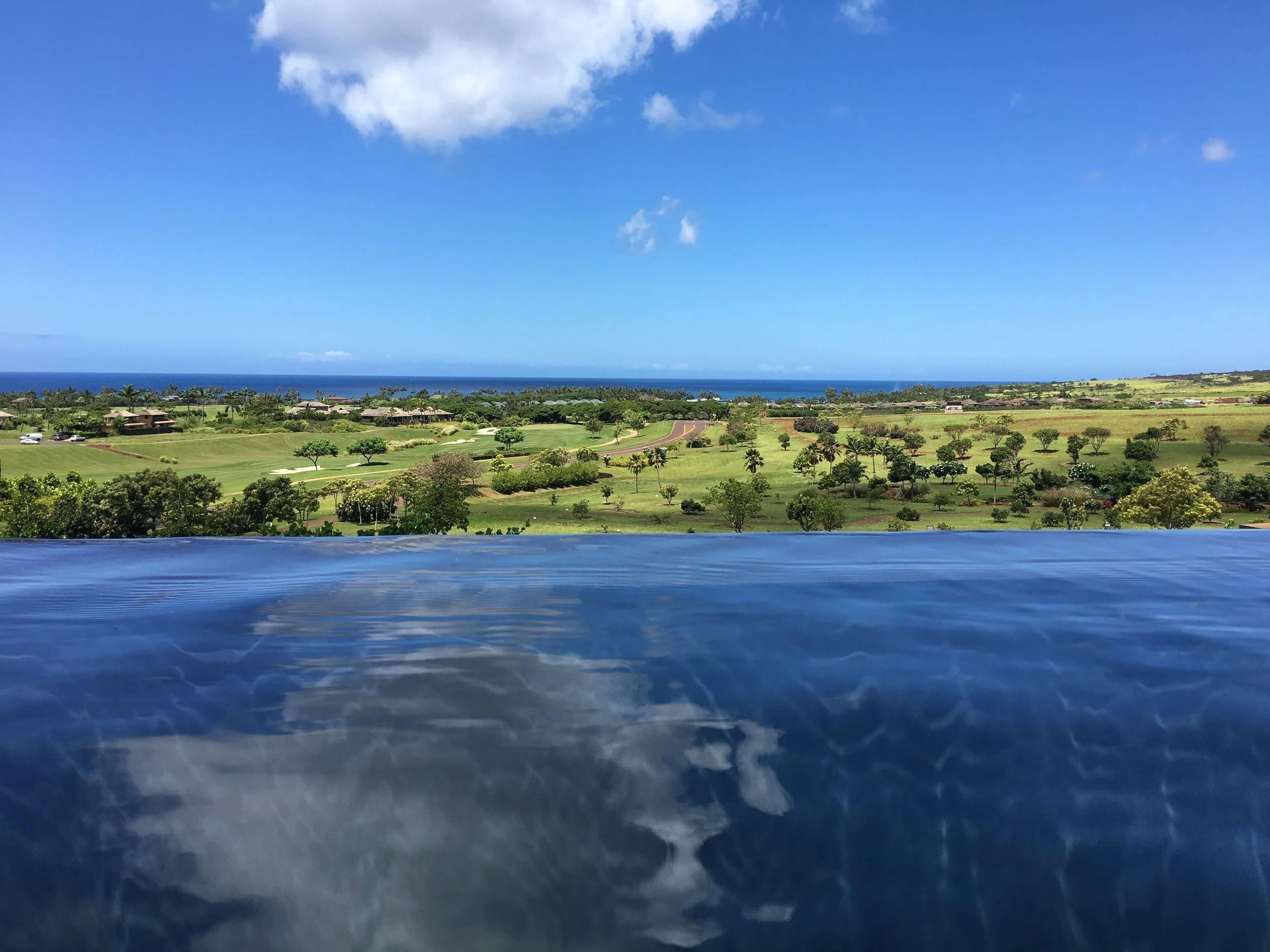 VIEW FROM POOL
