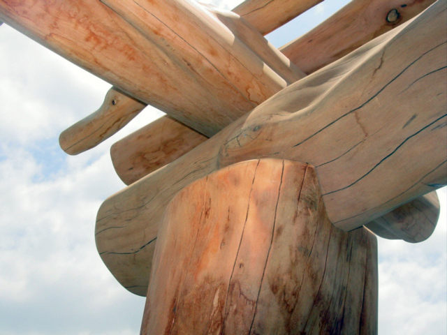 OHIA DETAIL