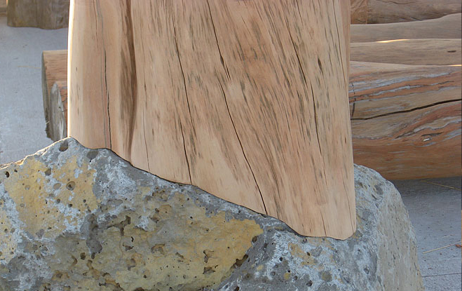 OHIA DETAIL