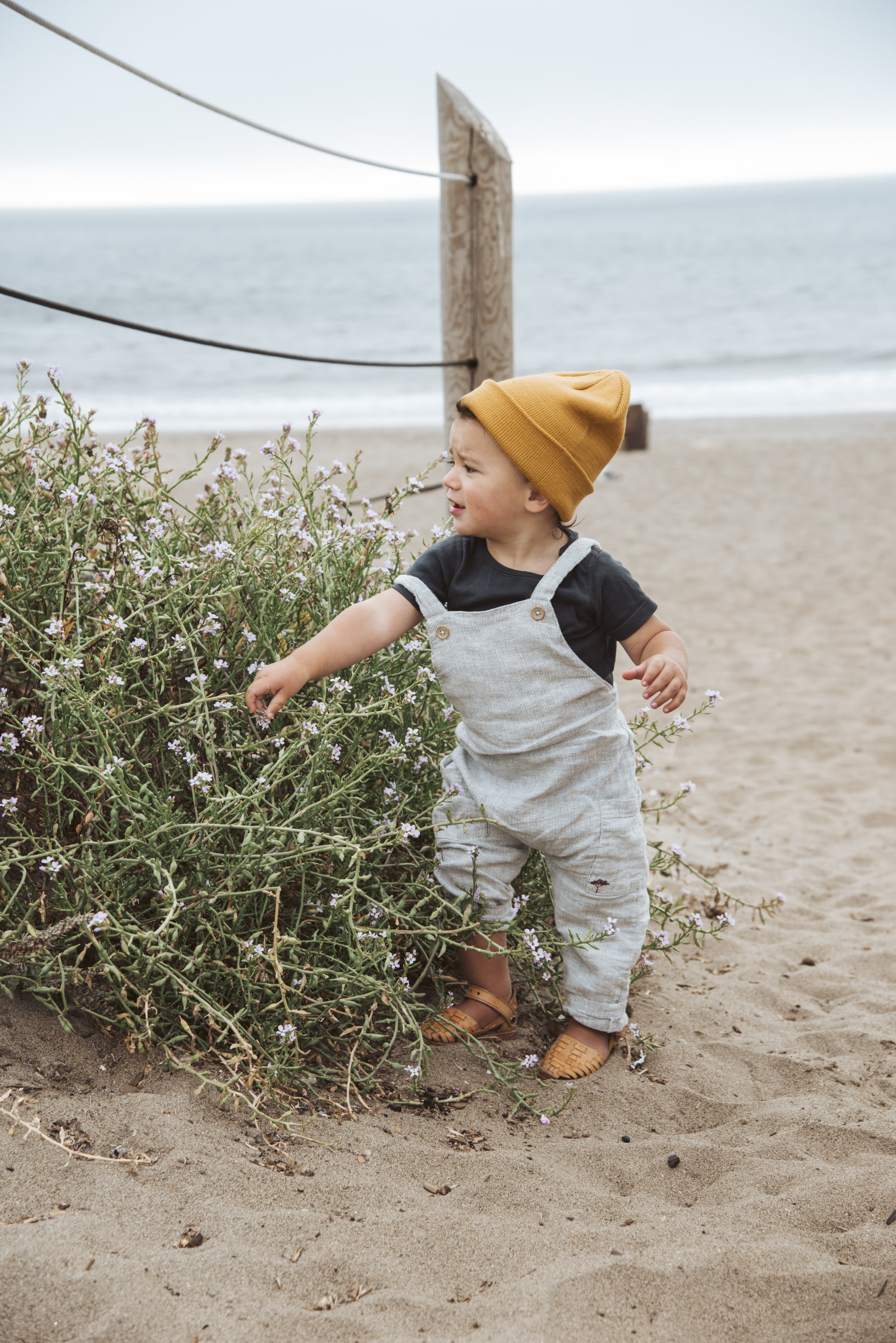 Baker Beach Aug 1 2019 -4591.jpg