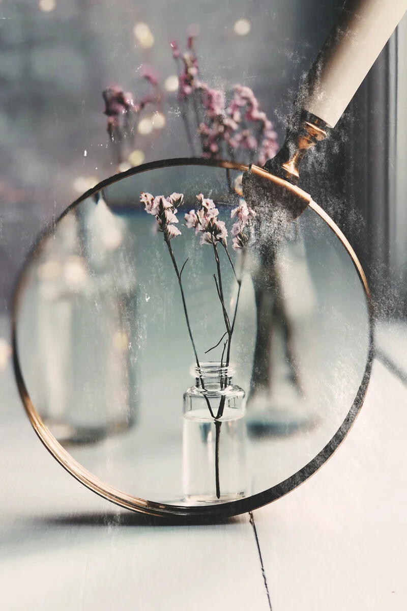Angie's Window, 2020