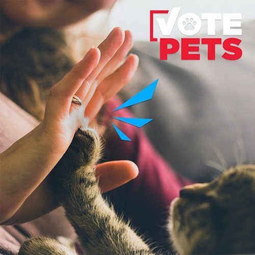 Vote+-+Pet+Hi5.jpg