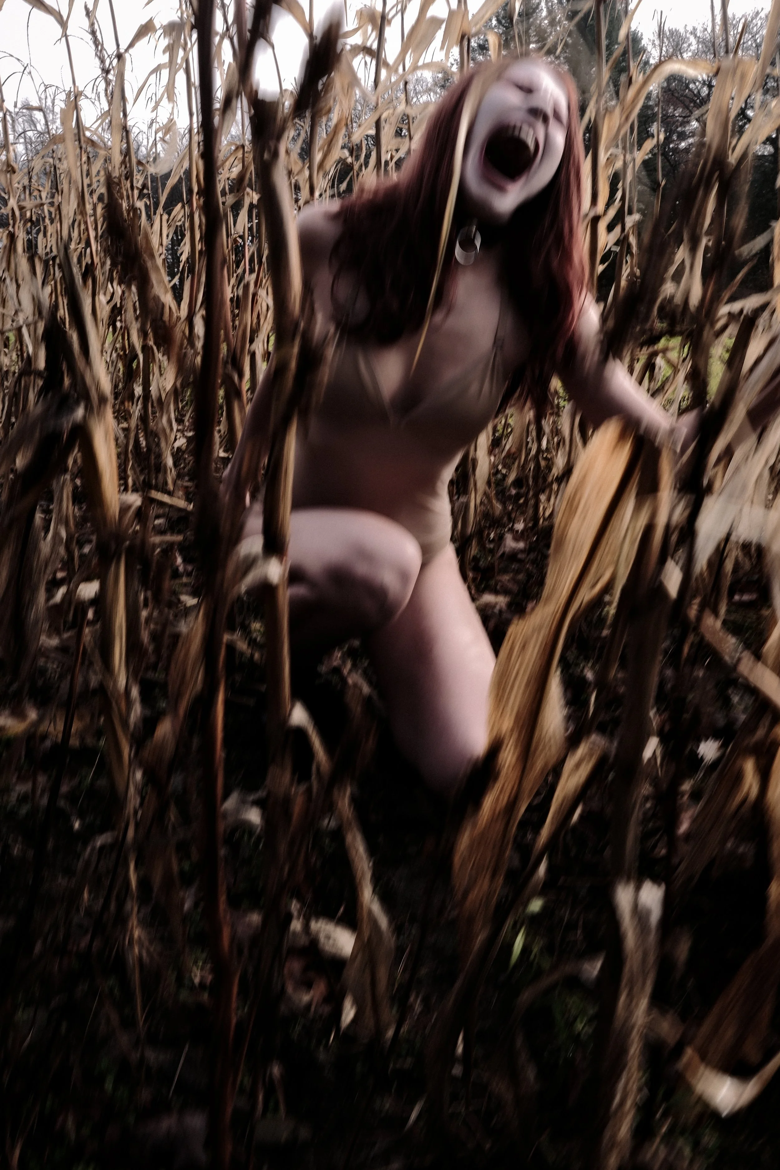 DSCF5003.jpg