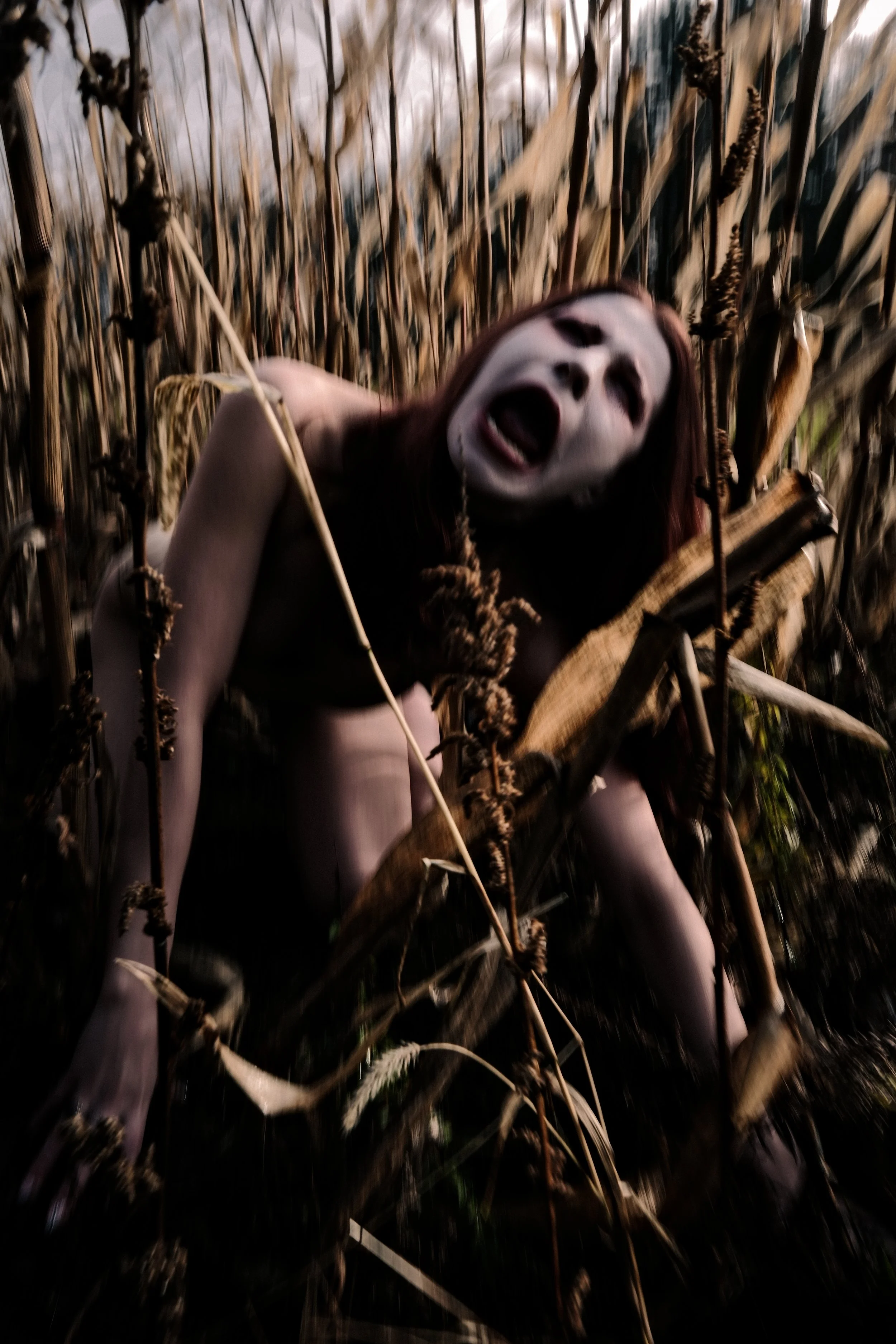 DSCF5007.jpg