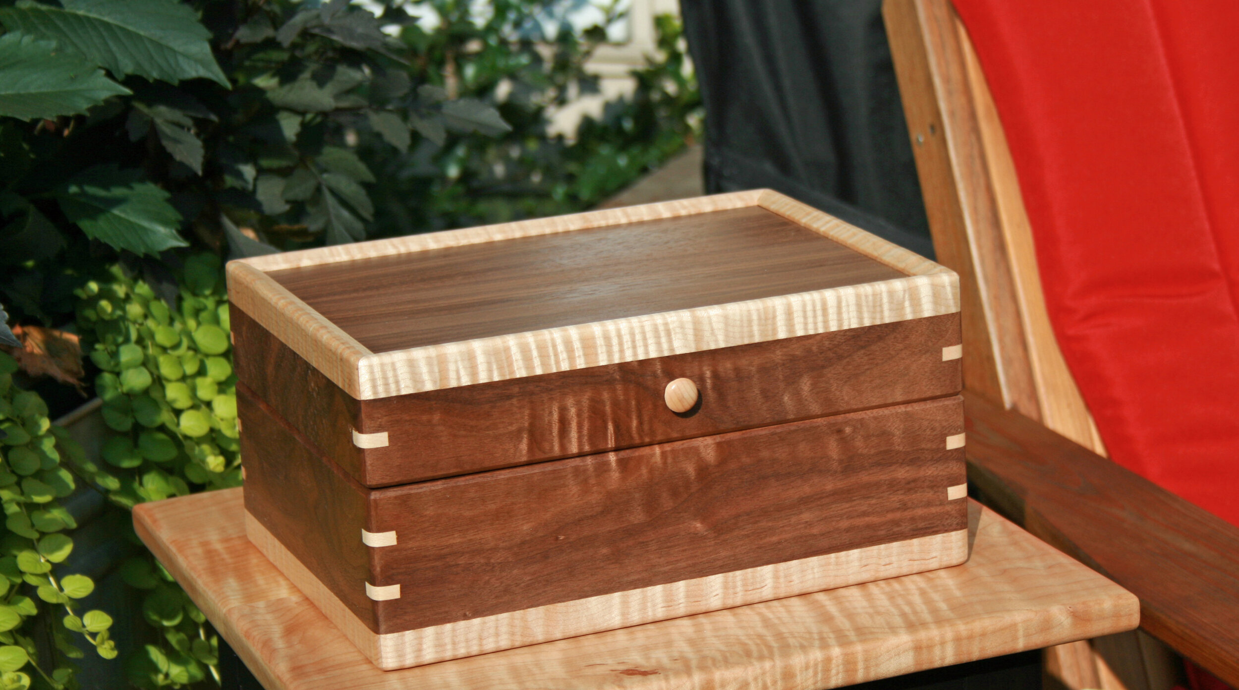 Curly Maple &amp; Walnut Keepsake Box