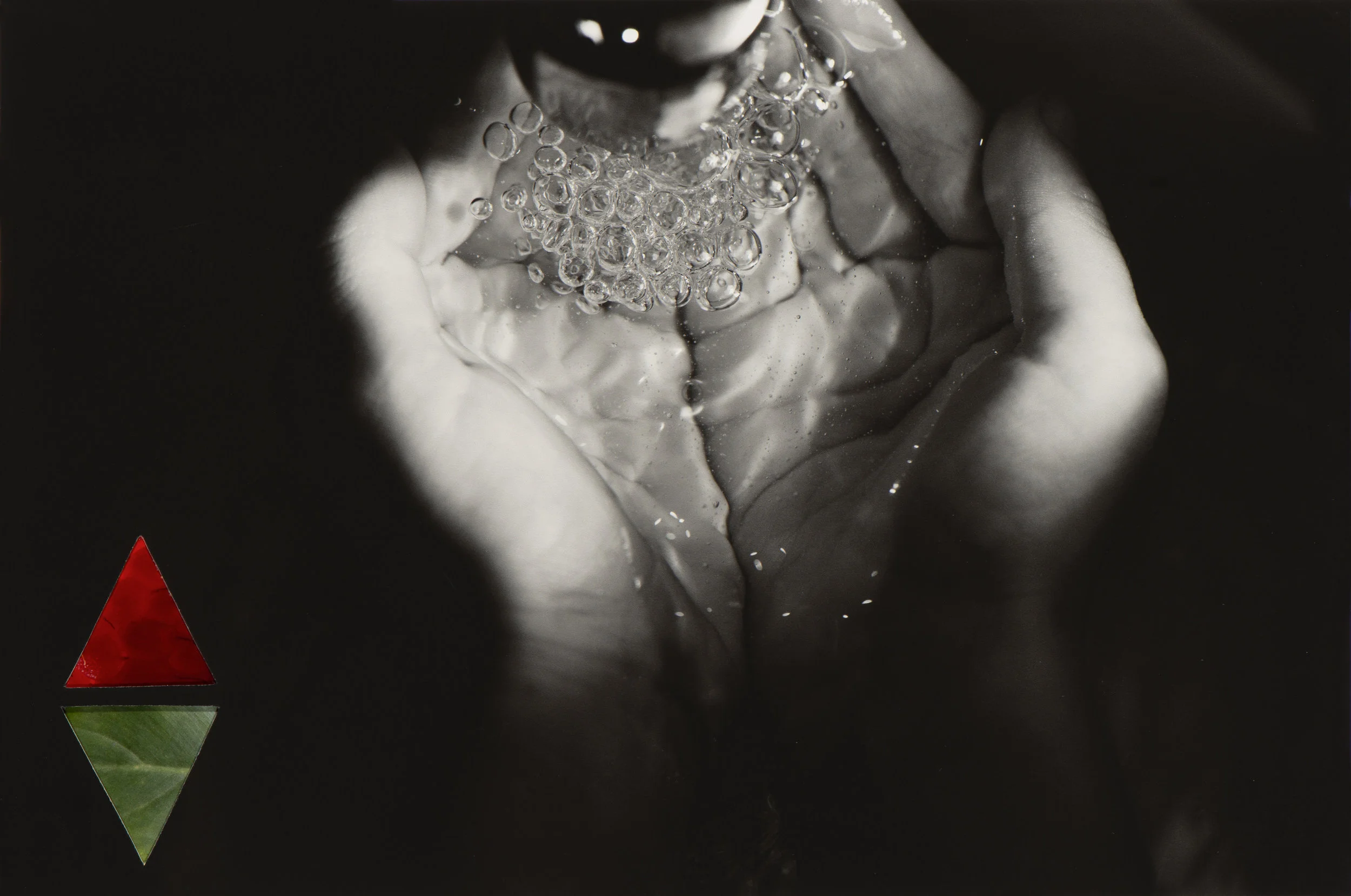 A black and white close-up of hands cupped together washing with soap and water, creating bubbles.