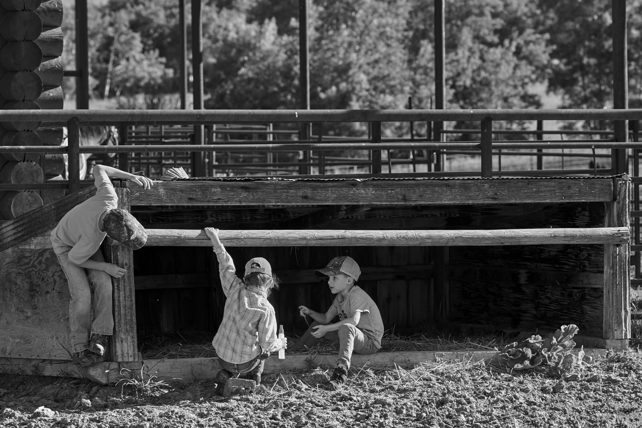 Three children playing under a wooden structure in an outdoor setting, with trees in the background.