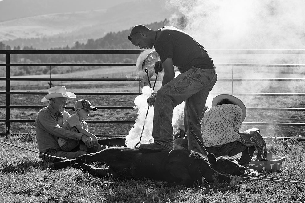 A family milking a cow outdoors in a farm field, with mountains and trees in the background, as smoke rises nearby.