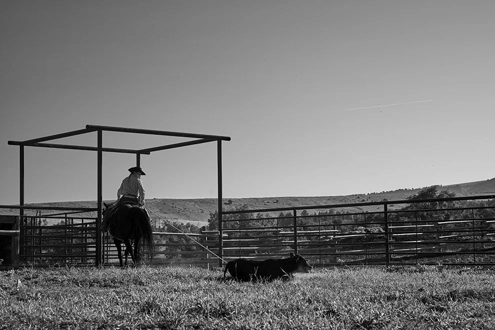 A person riding a horse in a fenced outdoor arena, holding a leash attached to a small dog lying on the grass, with rolling hills in the background, black and white photography.