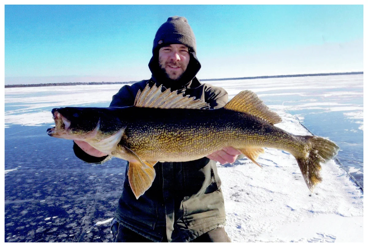 Andrew Sharpe; Sheboygan, WI - 31 ½” Walleye on Little Bay de Noc using a sucker