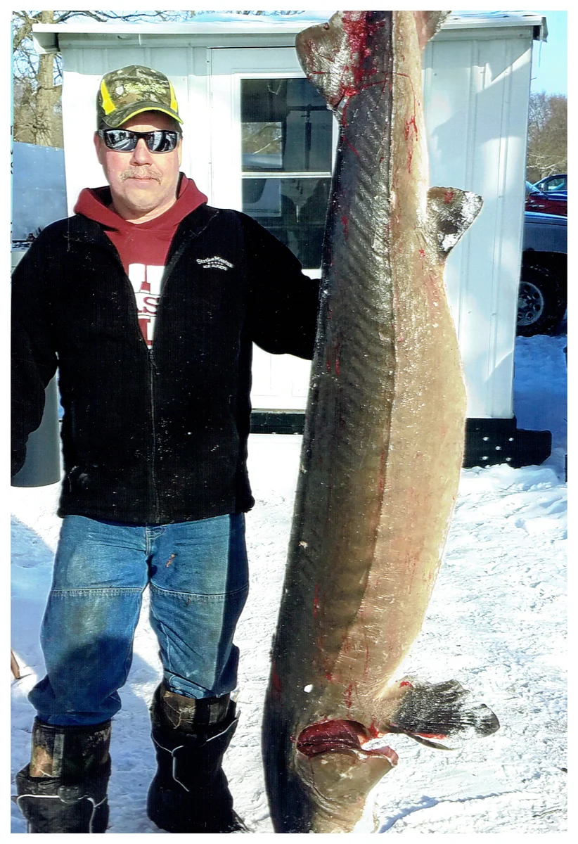 Jeff Dreher; West Bend, WI - 74.6” (147.8 lbs) Sturgeon on Lake Winnebago using a spear