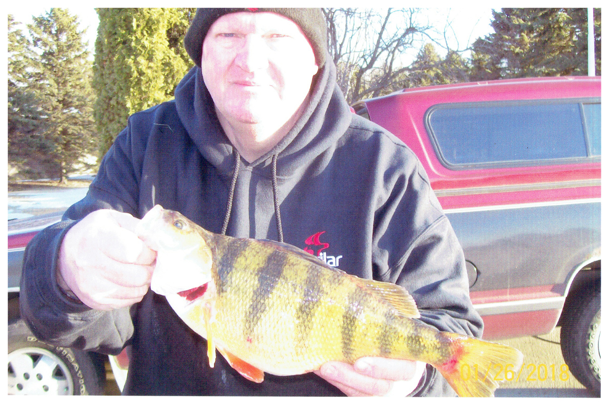 Ed Painter; Watertown, SD - 15” (2 lbs. 8oz) Perch on Goose Lake using a tunston jig