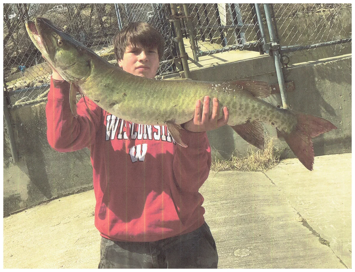 Youth Winner: Wyatt Smith; Waterford, WI - 40” Muskie on the Fox River using a Mister Twister