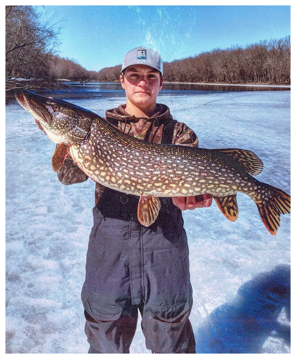 Youth Winner: Joe Weiers; New Prague, MN - 38” Northern Pike on the Mississippi River using a sucker on a tip-up