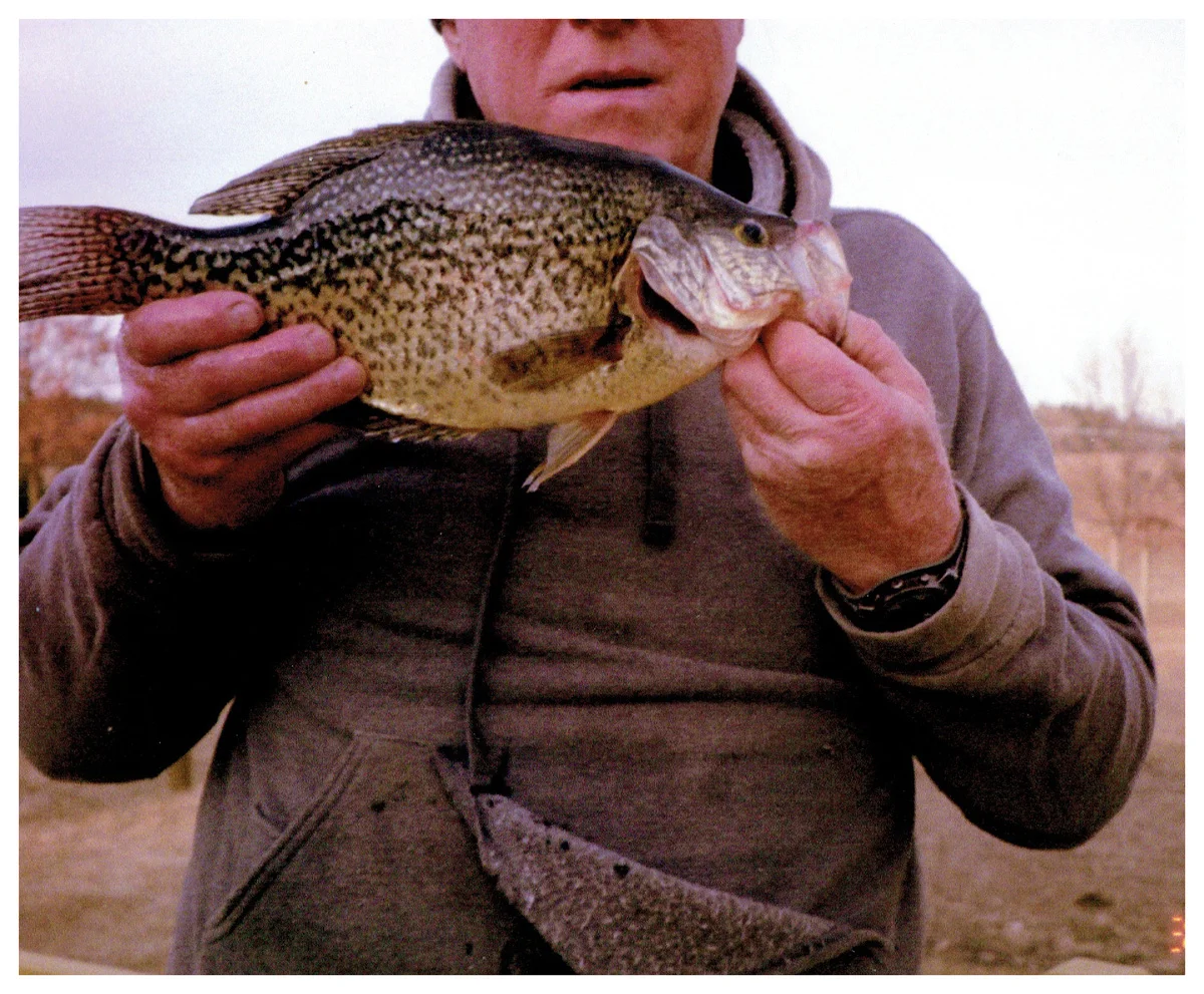 George Viney; Plainfield, WI - 16 ¾” Crappie on Silver Lake using a minnow