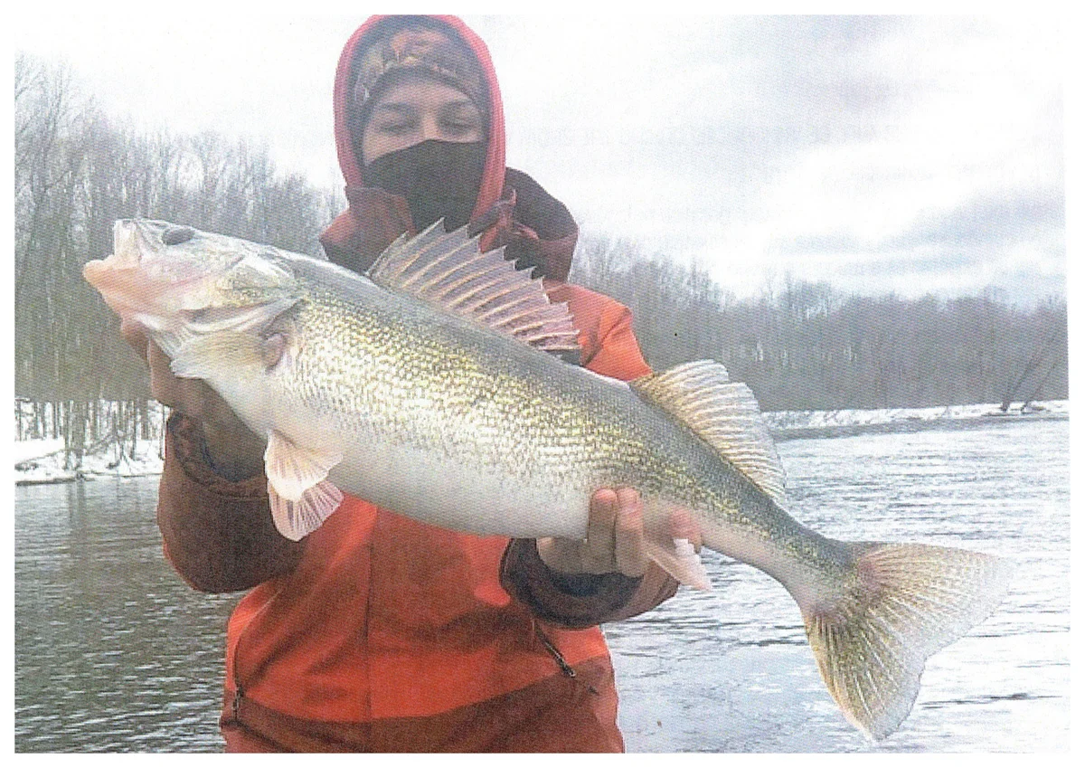Justin Gaurkee; Delafield, WI - 29” Walleye on the Peshtigo River using a jig & minnow