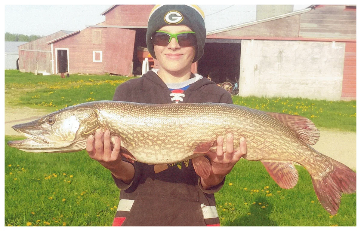 Youth Winner: Gerrit Kass; Bruce, SD - 39” Northern Pike on a Dakota Nature Park Pond using a minnow