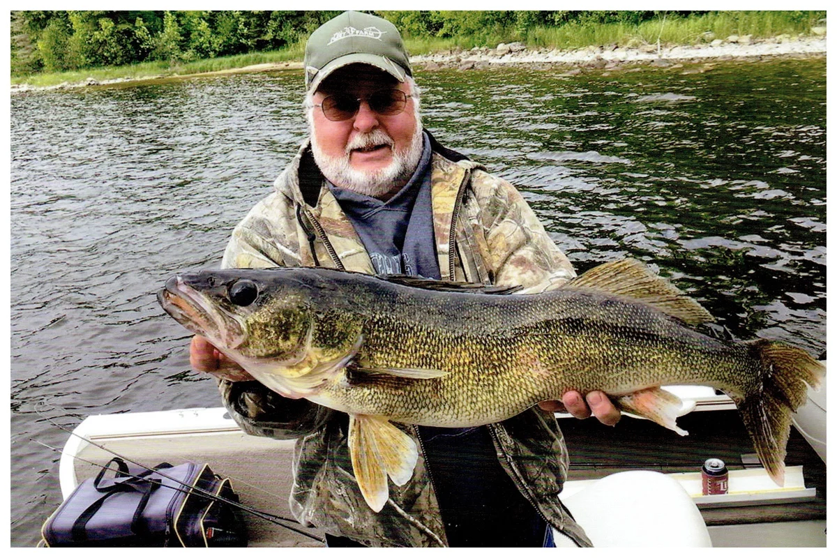 Charlie Chirhart; Hudson, WI - 31” Walleye on Lake of the Woods using a Flicker Shad