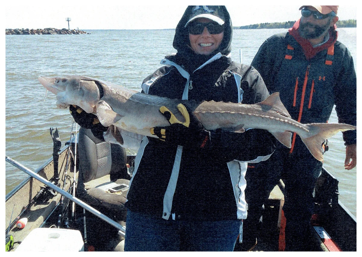Heather Laurin; Manitowoc, WI - 55” Sturgeon on Chequamegon Bay using a smelt