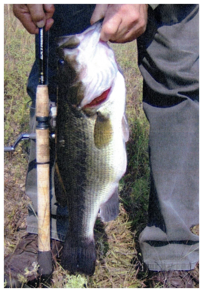 Thomas Sadowski; Milwaukee, WI - 24” Largemouth Bass on Big Sandy Lake using a Kalin’s Wack-O Worm