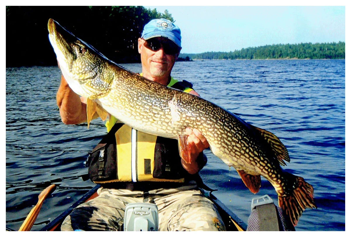 Darrel Brauer; Menomonee Falls, WI - 46” Northern Pike on Quetico LAke using a flicker shad
