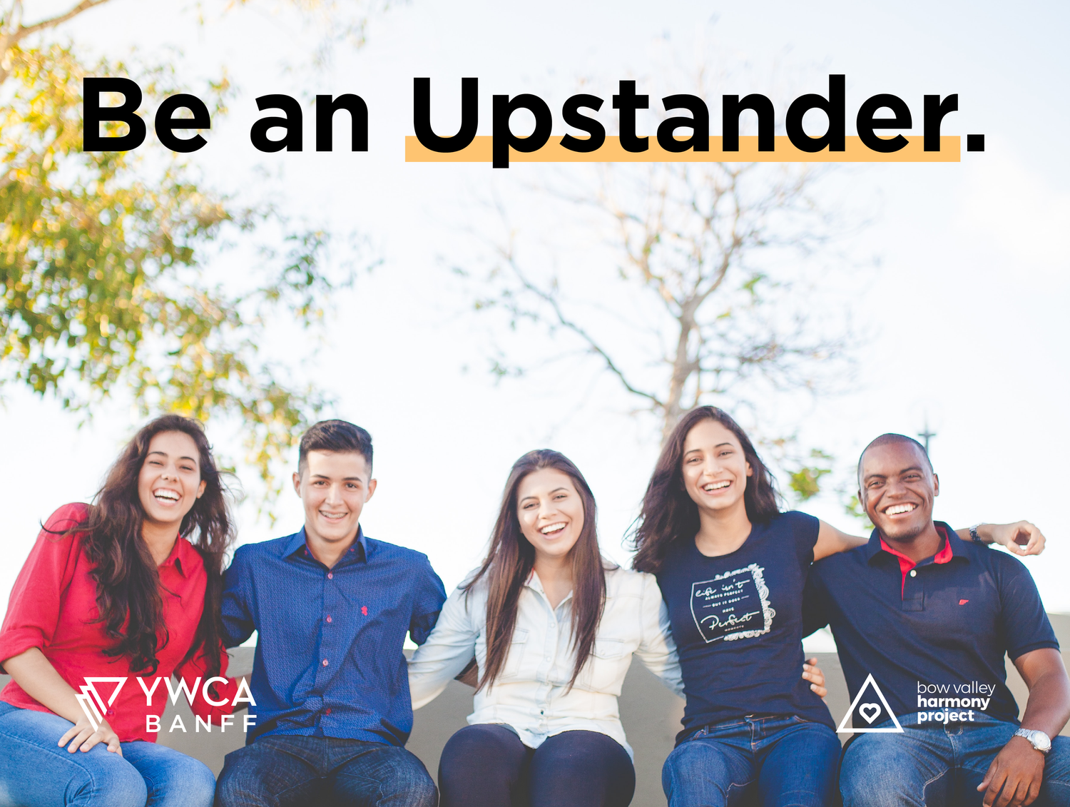 Upstander Training 2024 — The Workplace Inclusion Charter