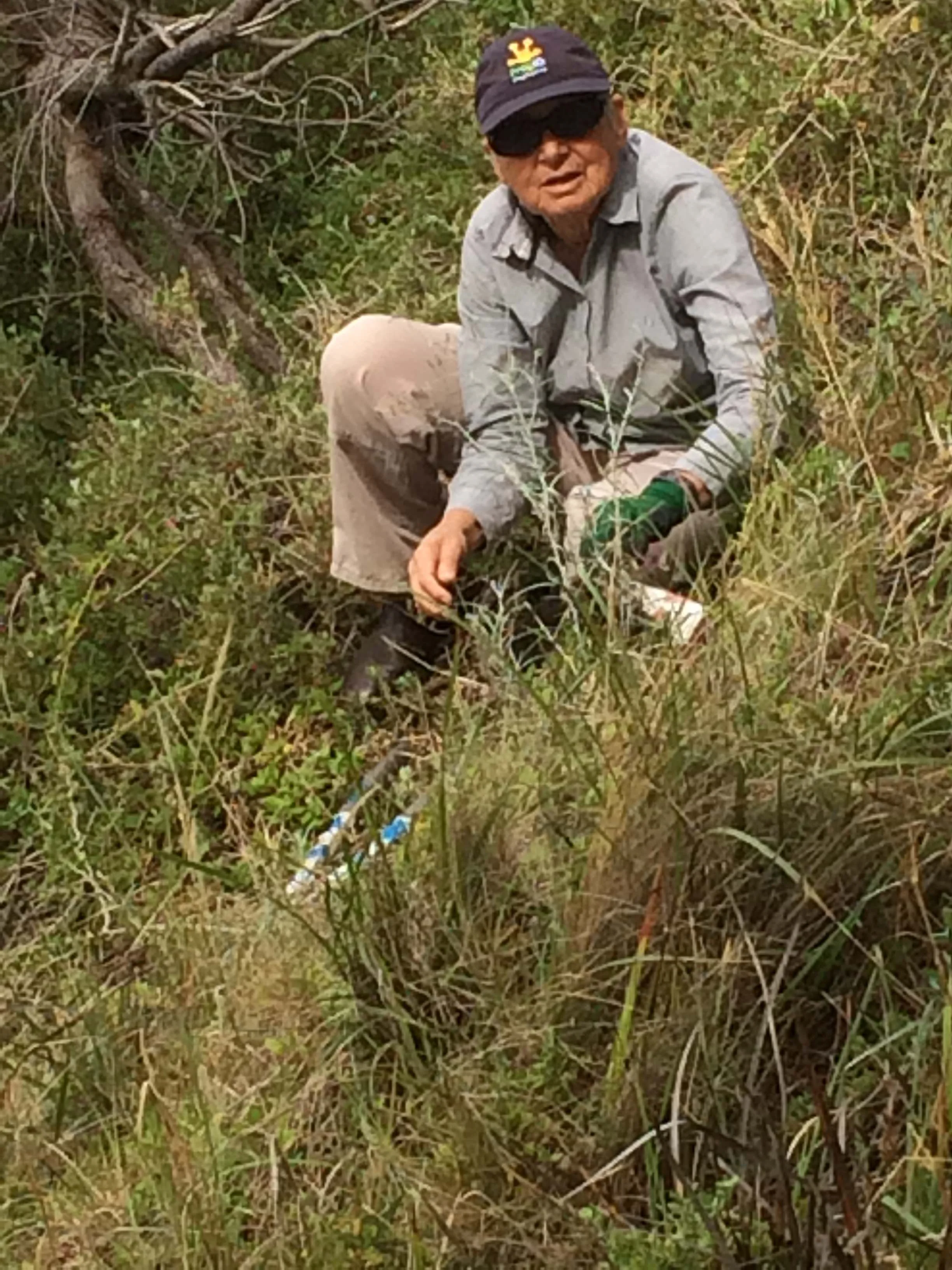 halfmoon bay box thorn removal.jpg