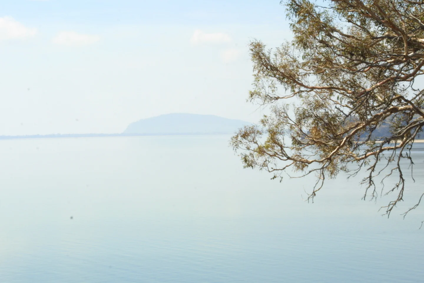 Still water and Betsy.jpg