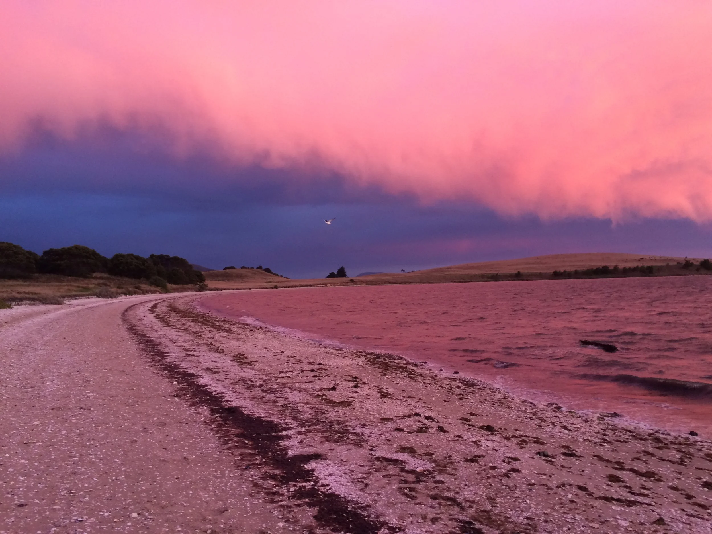 shelly beach sunrise.jpeg