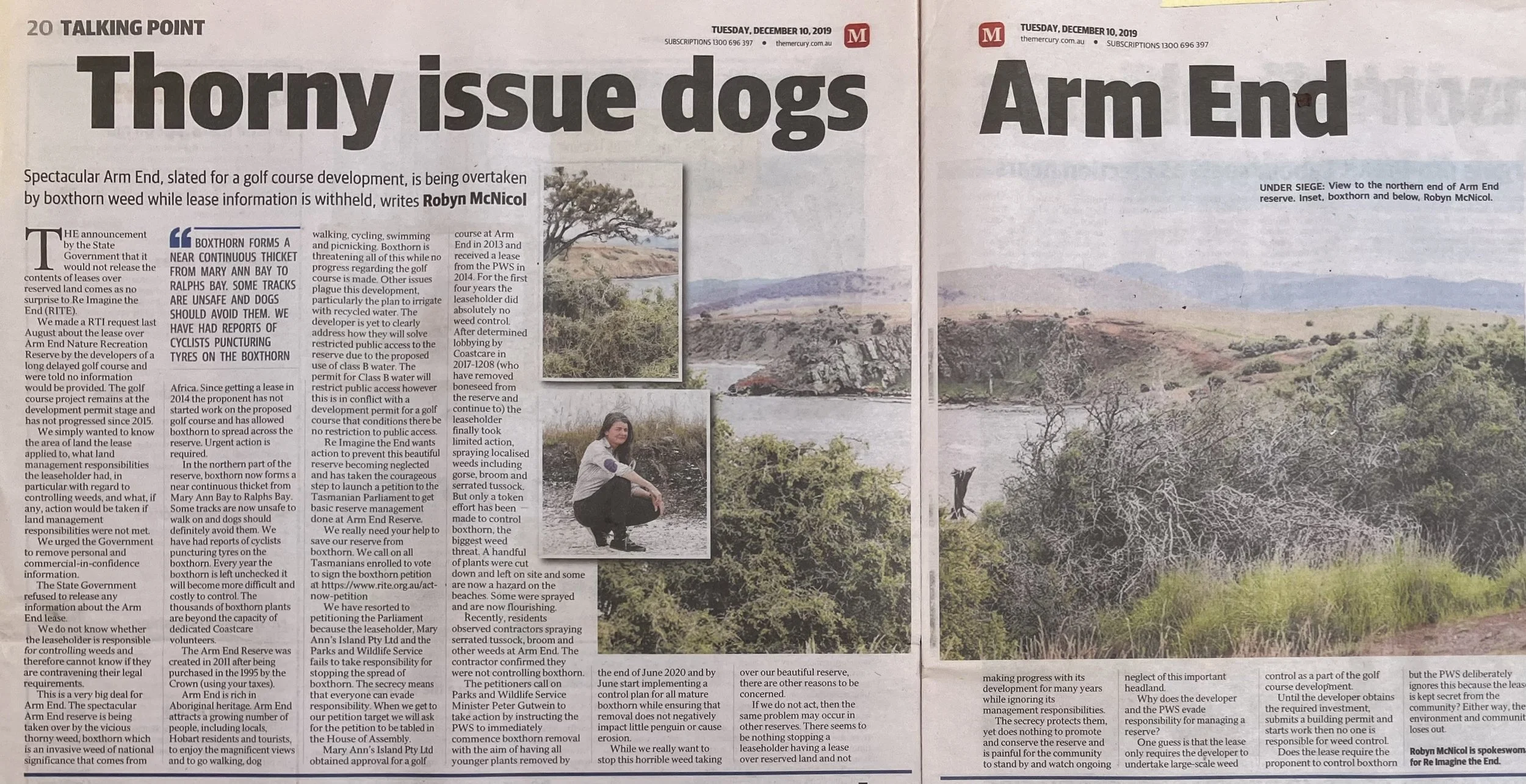 thorny issue dogs.jpg