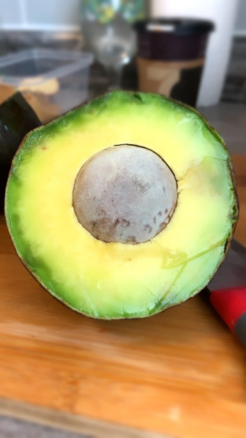 avocado.JPG