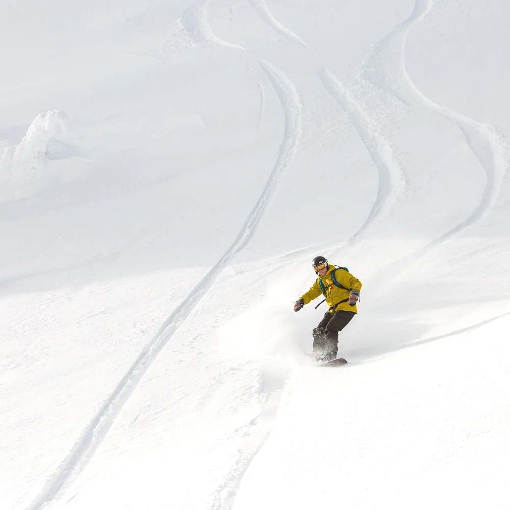 Rob+-+Mountain+Mouvement+-+Website+photos+-+Jalapeno+Vision+Photography-8400.jpg