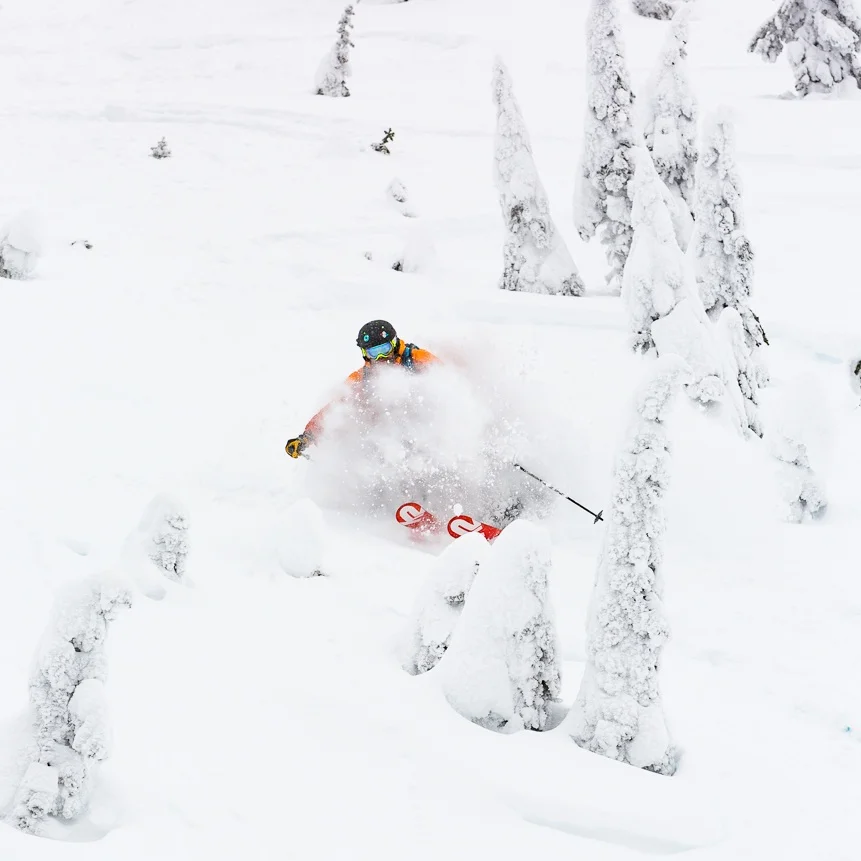 Powder Highway Epic  $3990      Jan 14 - Jan 26,  2022