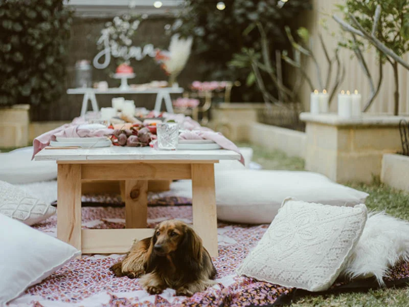 Pretty_Willow_Prop_Hire_Perth_GALLERY_Boho_Luxe_Picnics.jpg