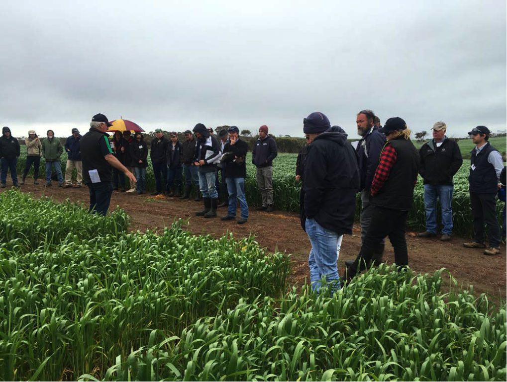 Noodle trial at SCF FD Sept 2017.png