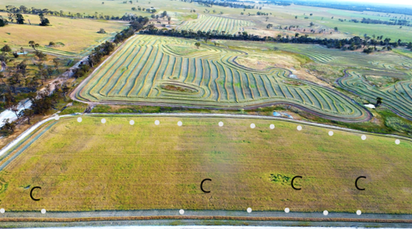 2019 Pre-swathing Drone Tomlinson Lime (1).png